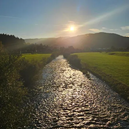 Sandhaasenblick * هاسلاخ إيم كينزيجتال